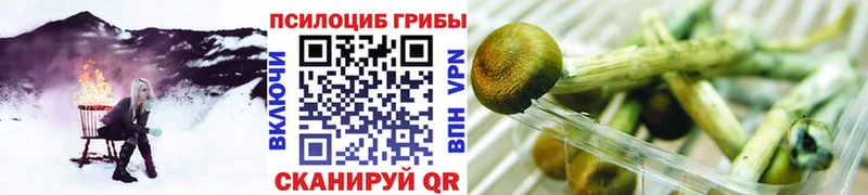 Галлюциногенные грибы GOLDEN TEACHER  где продают   Нефтеюганск 