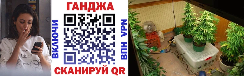 Шишки марихуана план Нефтеюганск